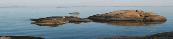 bussholmen1.gif